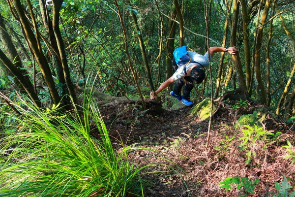五指山支稜接頂山石梯嶺下上磺溪