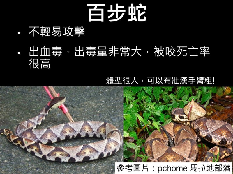 3b2cc2d92751be3aaa69d8015a117b32.jpg