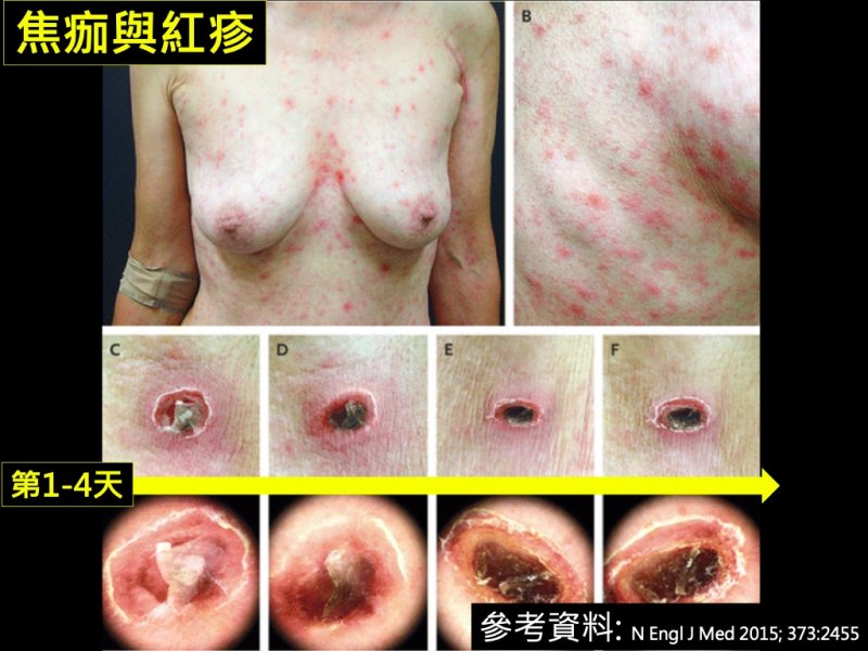 b508d17051f1e7a9cced95b9bbcd732f.jpg