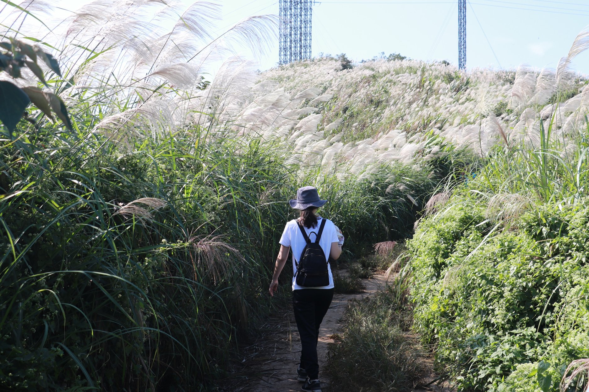 大棟山列縱走